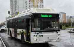 251 КБ