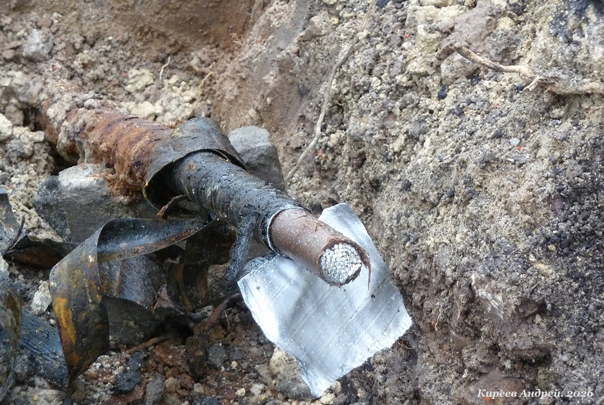 ���������������