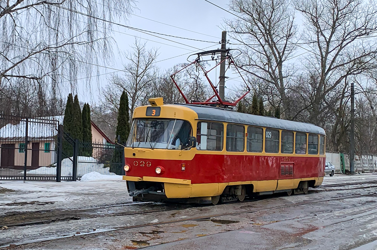 029 029